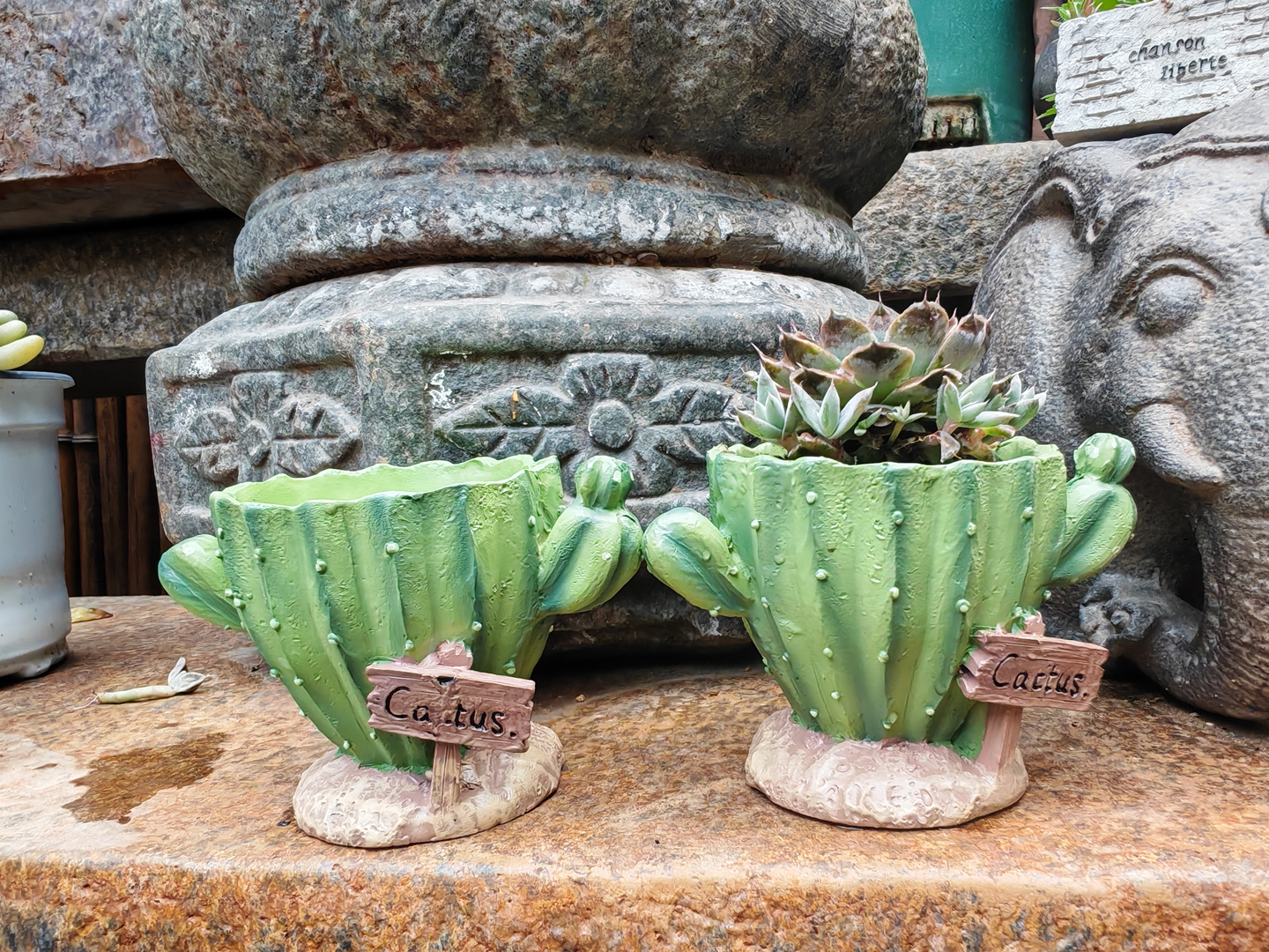 Plant Desk Mini - Cactus Flower Planter Pot Cute mini