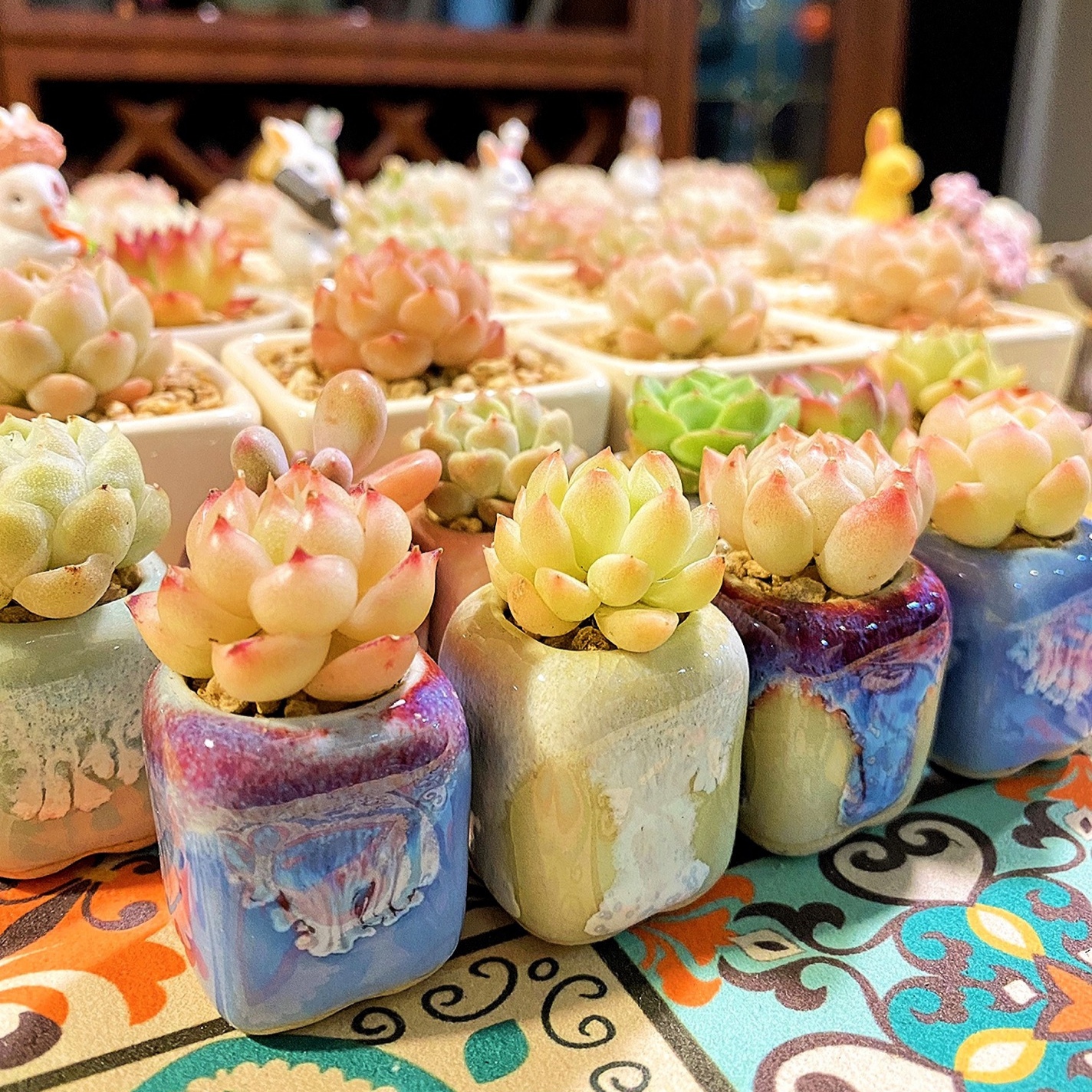 Plant Desk Mini - 10Pcs Mini Ceramics Fowerpot Mini Lithops