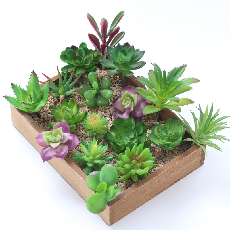 2021 Artificial Succulents Pla - Plant Desk Mini のレビューと価格