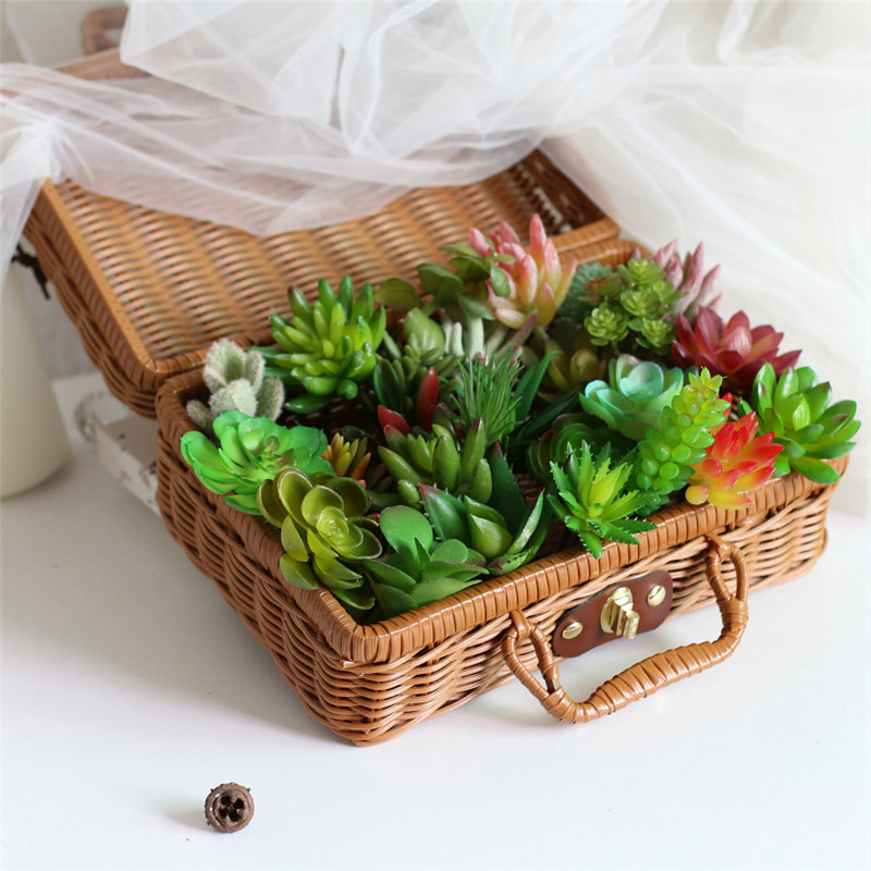 2021 Artificial Succulents Pla - Plant Desk Mini のレビューと価格