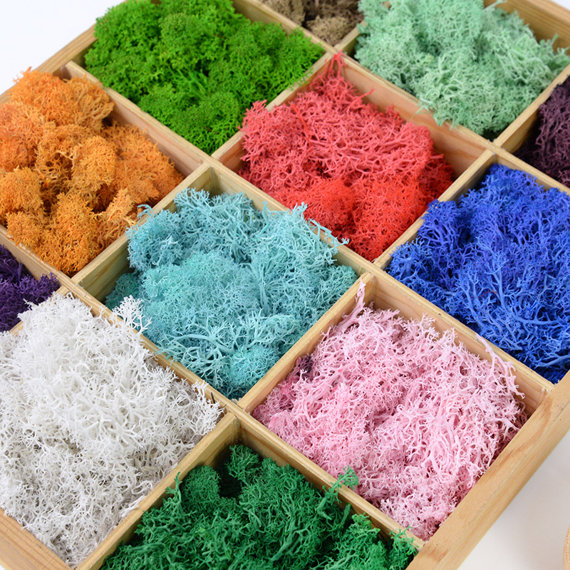 20/40g Artificial Green Plants - Plant Desk Mini のレビューと価格