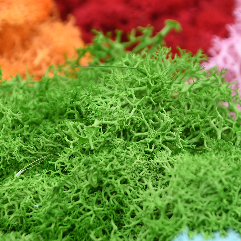20/40g Artificial Green Plants - Plant Desk Mini のレビューと価格