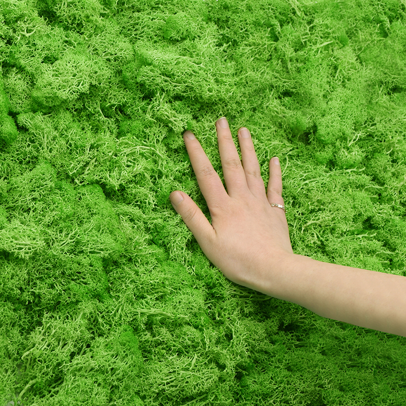 20/40g Artificial Green Plants - Plant Desk Mini のレビューと価格