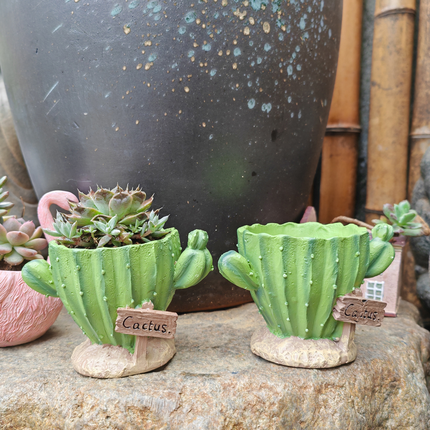 Cactus Flower Planter Pot Cute - Plant Desk Mini のレビューと価格