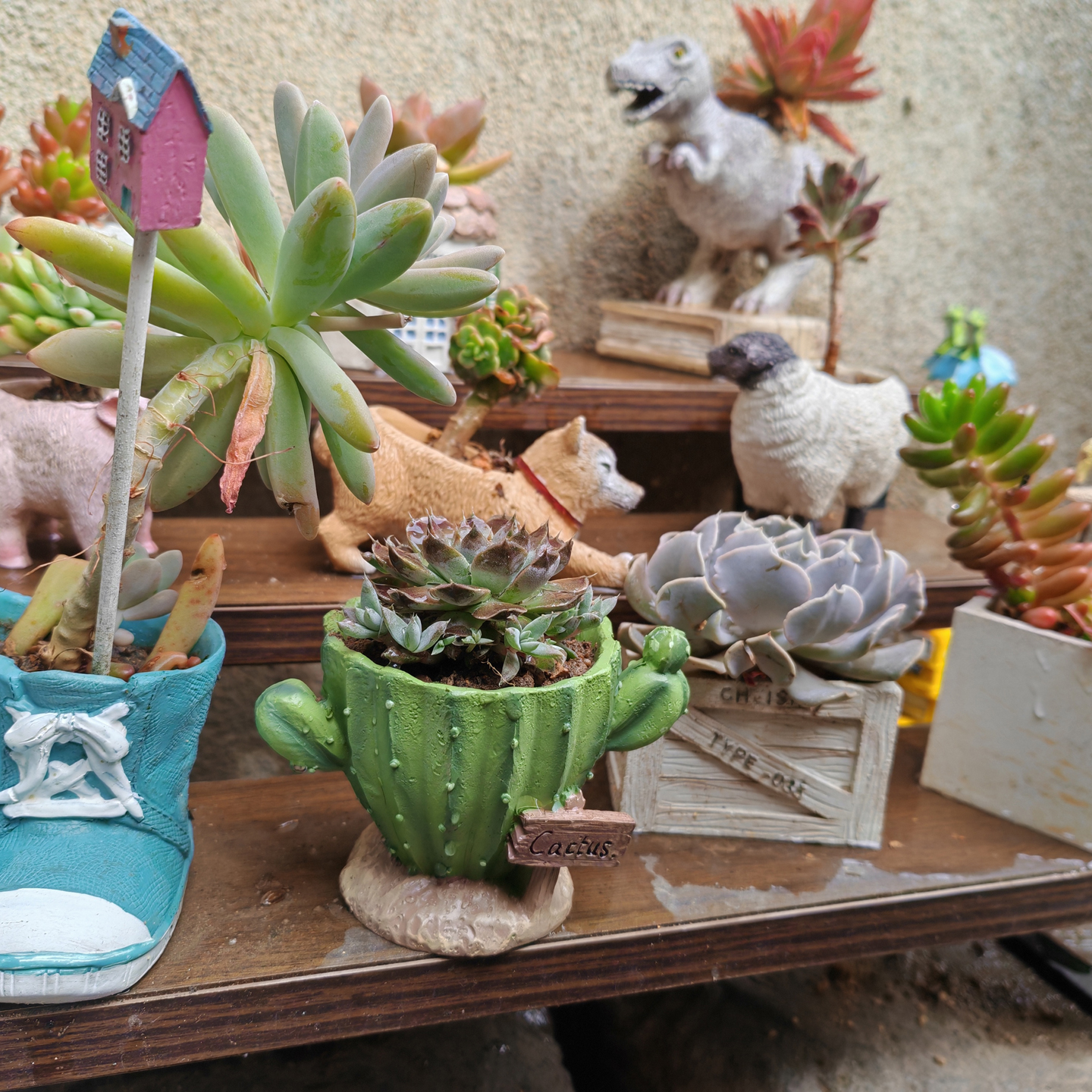Cactus Flower Planter Pot Cute - Plant Desk Mini のレビューと価格