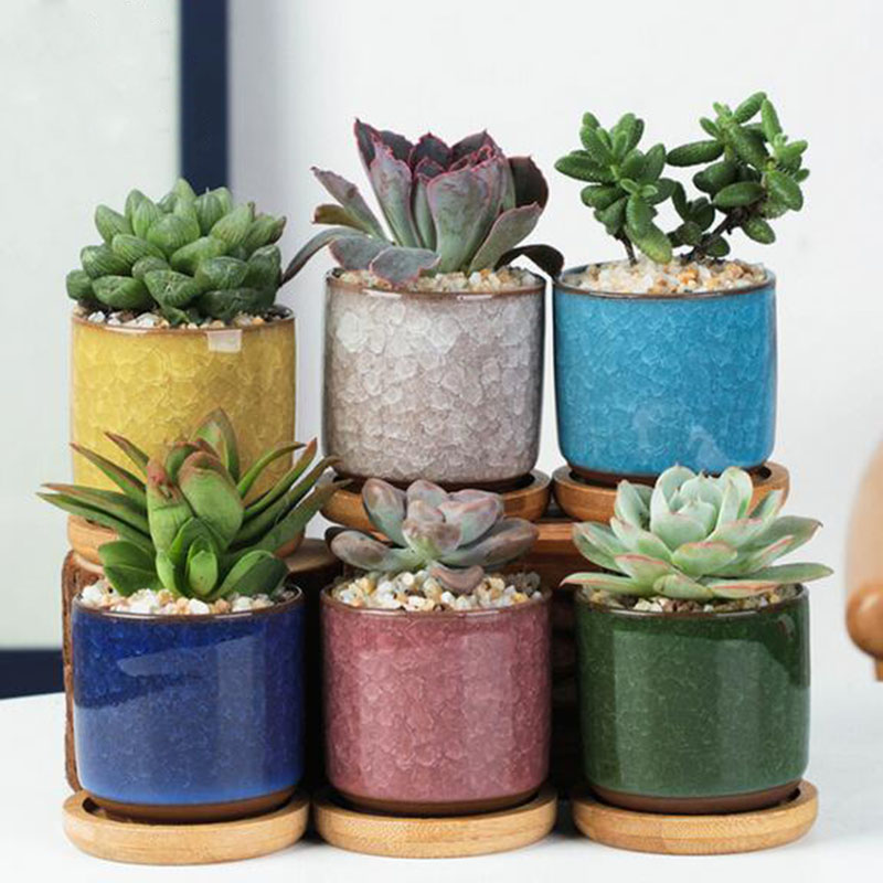 6pcs/set Ceramic Flowerpot Set - Plant Desk Mini のレビューと価格