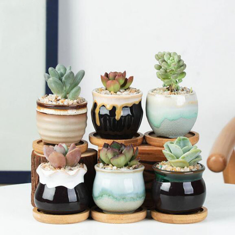 6pcs/set Ceramic Flowerpot Set - Plant Desk Mini のレビューと価格