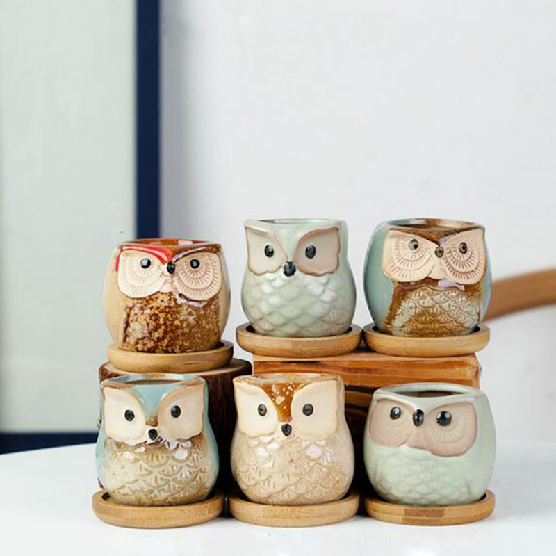 6pcs/set Ceramic Flowerpot Set - Plant Desk Mini のレビューと価格