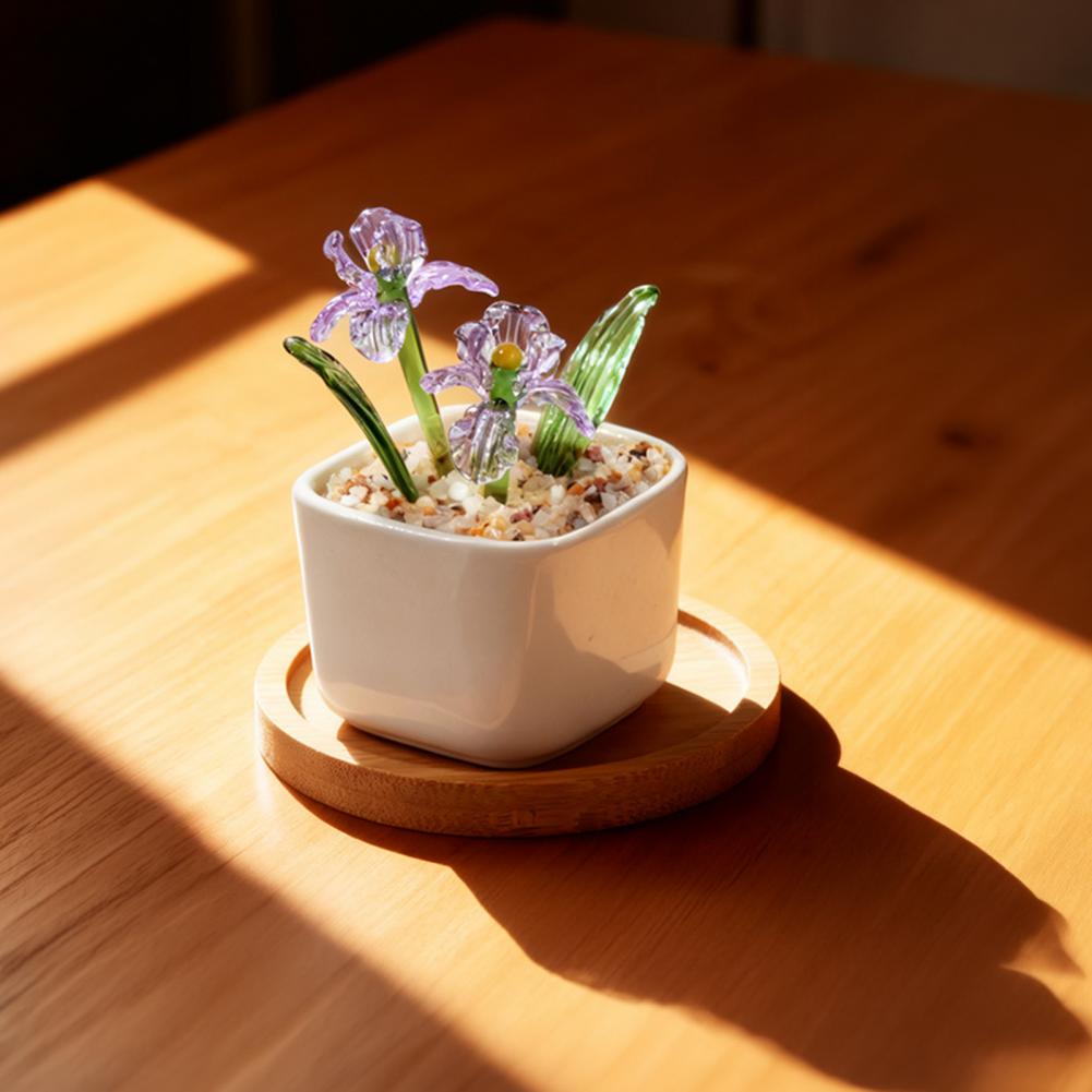 No Maintenance Plant Glazed Po - Plant Desk Mini のレビューと価格