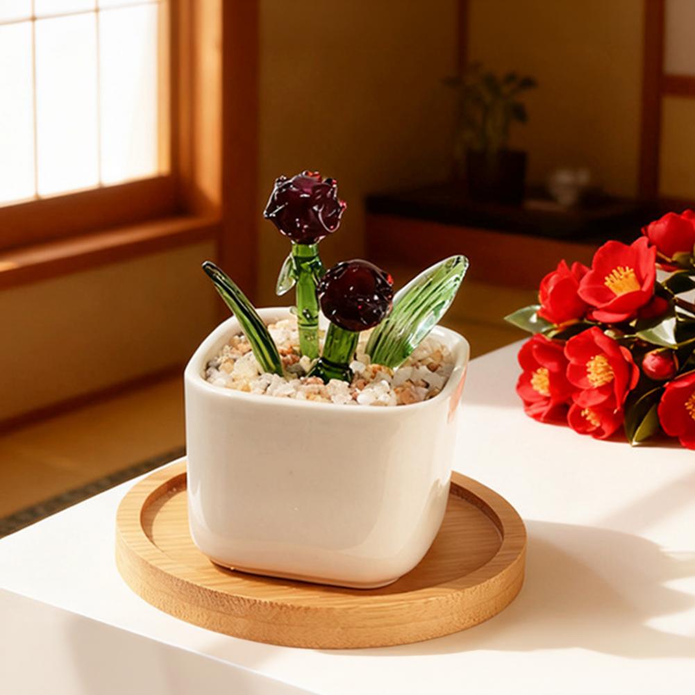 No Maintenance Plant Glazed Po - Plant Desk Mini のレビューと価格