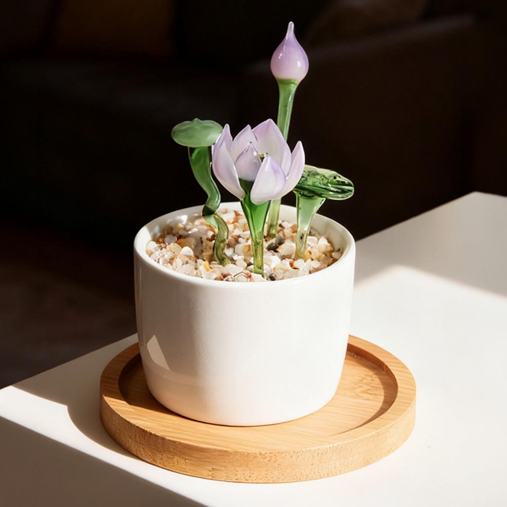 No Maintenance Plant Glazed Po - Plant Desk Mini のレビューと価格