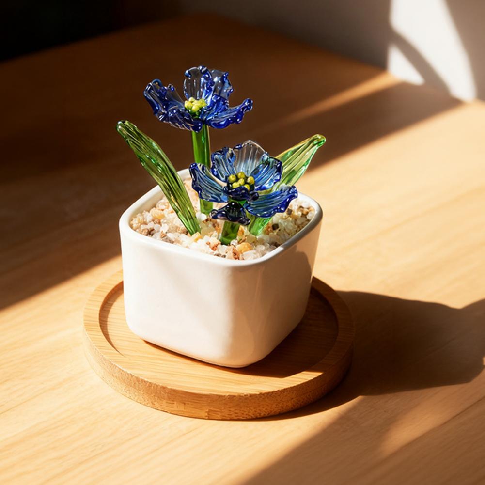 No Maintenance Plant Glazed Po - Plant Desk Mini のレビューと価格