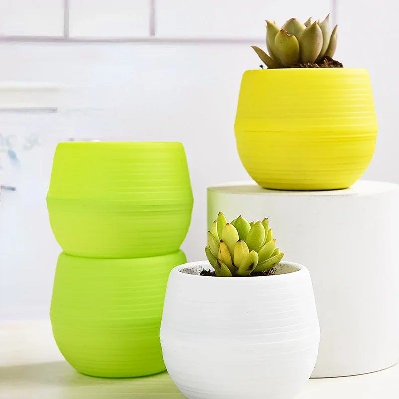 Succulent Plants Flower Pot Fl - Plant Desk Mini のレビューと価格