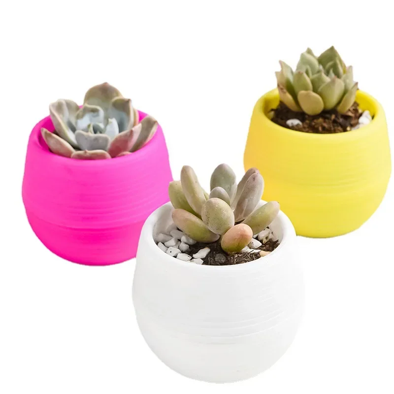 Succulent Plants Flower Pot Fl - Plant Desk Mini のレビューと価格